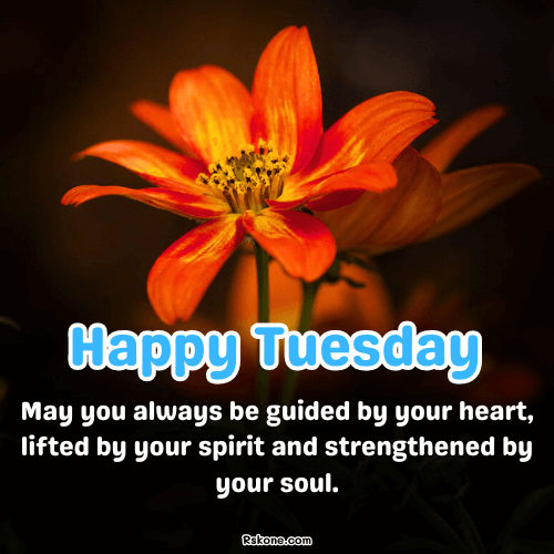 Happy Tuesday Images 24