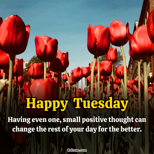 Happy Tuesday Images 30