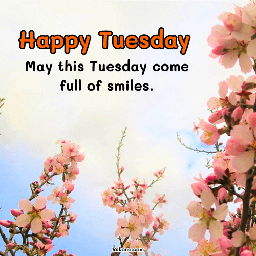 Happy Tuesday Images 31