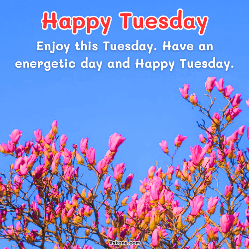 Happy Tuesday Images 32