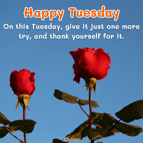 Happy Tuesday Images 34