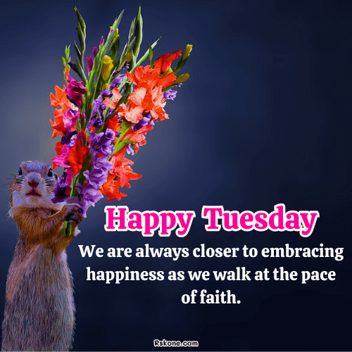 Happy Tuesday Images 37
