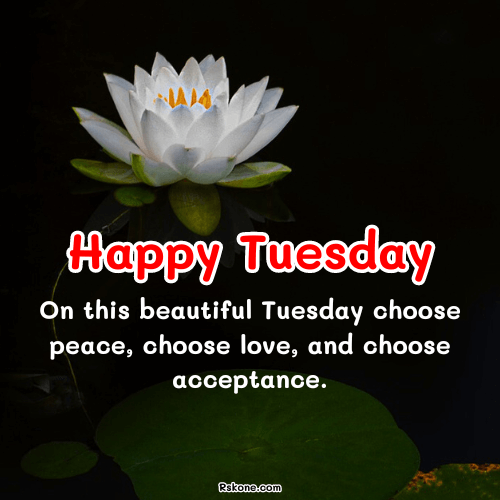 Happy Tuesday Images 4