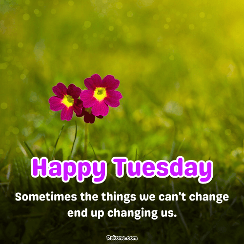 Happy Tuesday Images 40