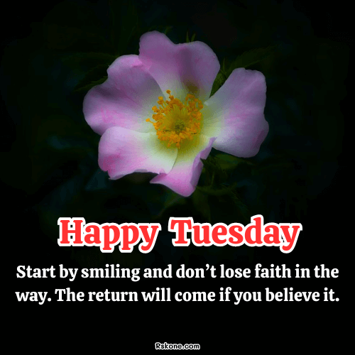 Happy Tuesday Images 45
