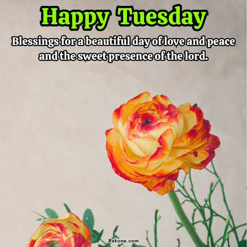 Happy Tuesday Images 46