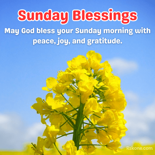 Sunday Blessings Images 11