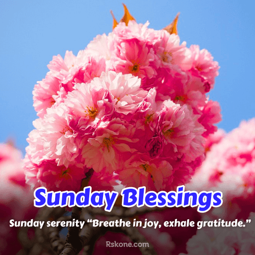 Sunday Blessings Images 22